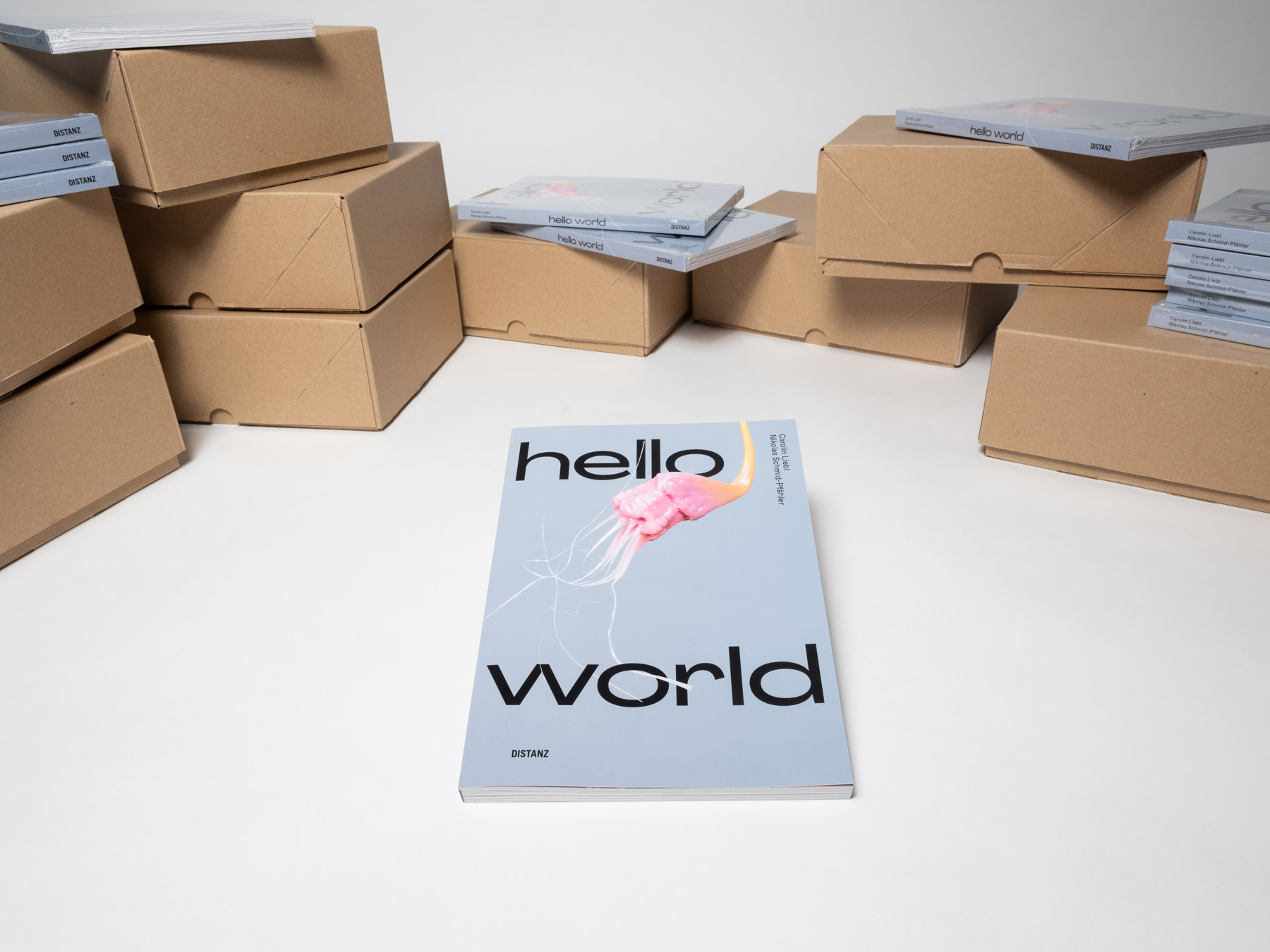 hello world book by carolin liebl and nikolas schmid-pfaehler